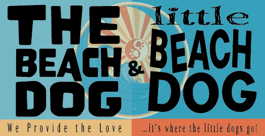 Beach Dog Daycare, Doggie Daycare, Newbury MA
