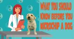 Microchip Your Dog
