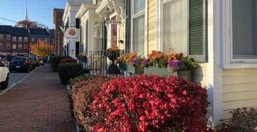 Business Travel to Newburyport