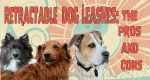 Retractable Dog Leashes The Pros and Cons